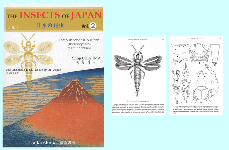 日本の昆虫 Vol.2