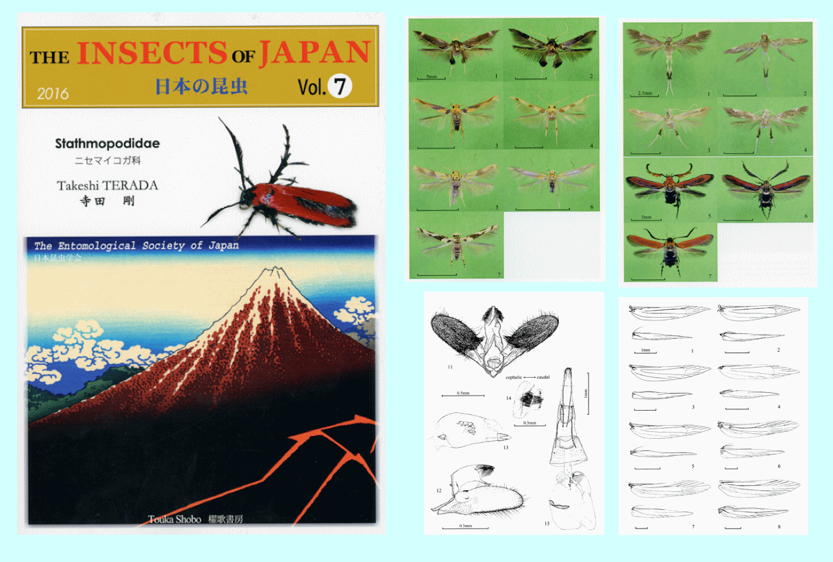 日本の昆虫 Vol.7